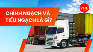 Chính ngạch và tiểu ngạch